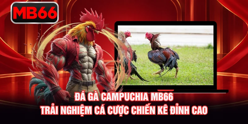 Đá Gà Campuchia MB66 – Trải Nghiệm Cá Cược Chiến Kê Đỉnh Cao