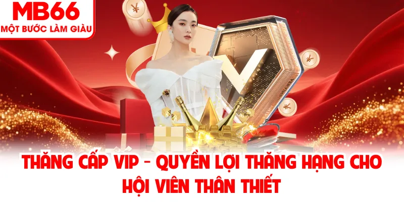 Thăng Cấp VIP MB66 Với Quyền Lợi Thành Viên Nổi Bật